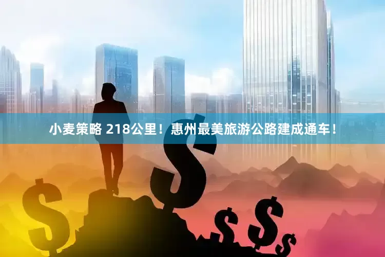 小麦策略 218公里！惠州最美旅游公路建成通车！