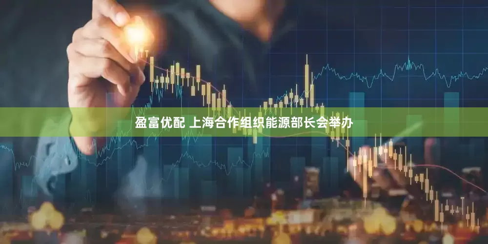 盈富优配 上海合作组织能源部长会举办