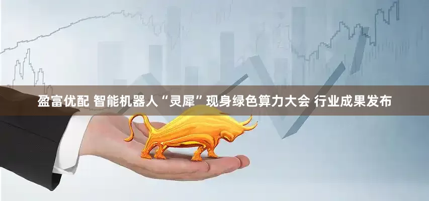 盈富优配 智能机器人“灵犀”现身绿色算力大会 行业成果发布