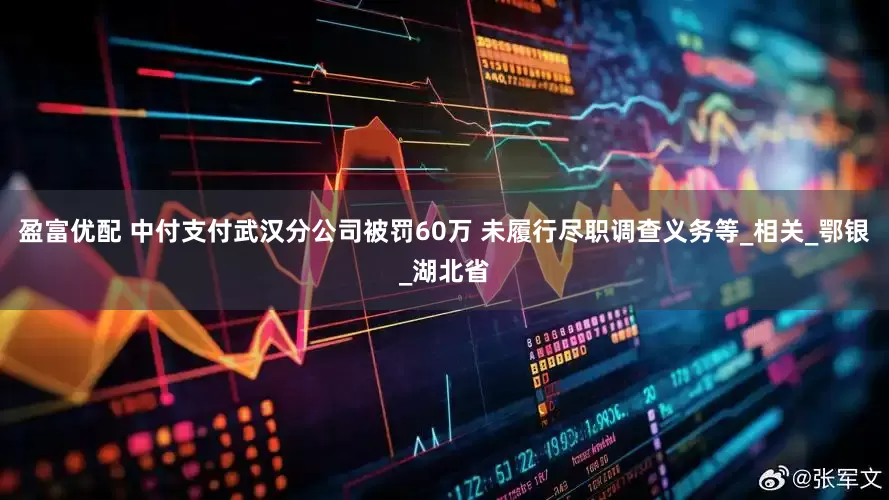 盈富优配 中付支付武汉分公司被罚60万 未履行尽职调查义务等_相关_鄂银_湖北省